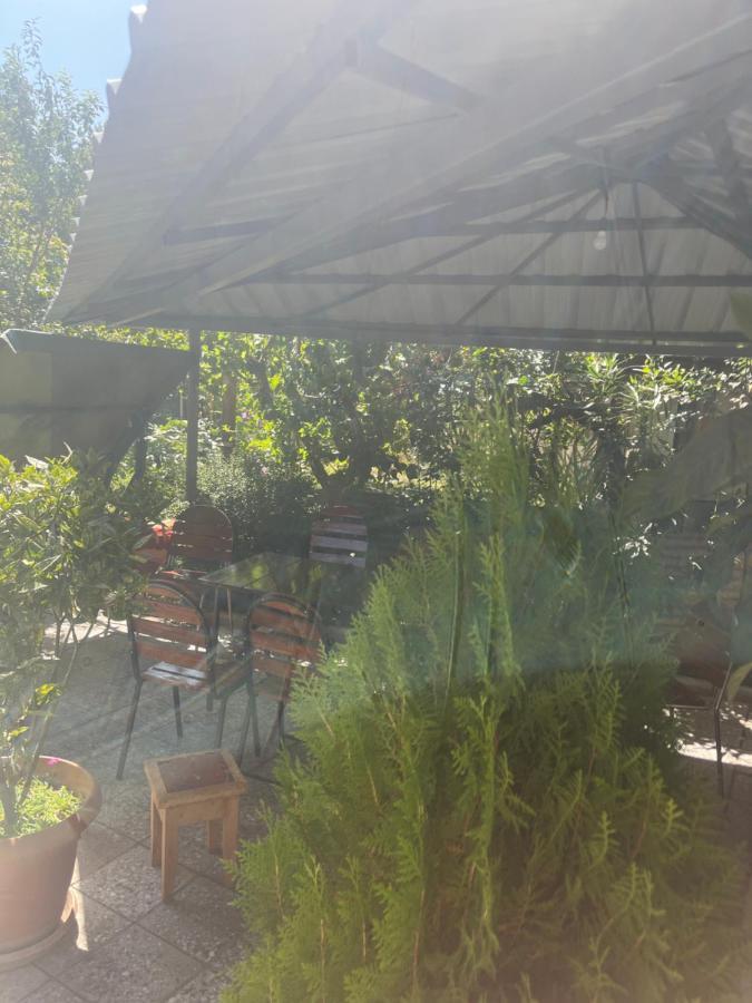 Cozy Space In Tbilisi ภายนอก รูปภาพ